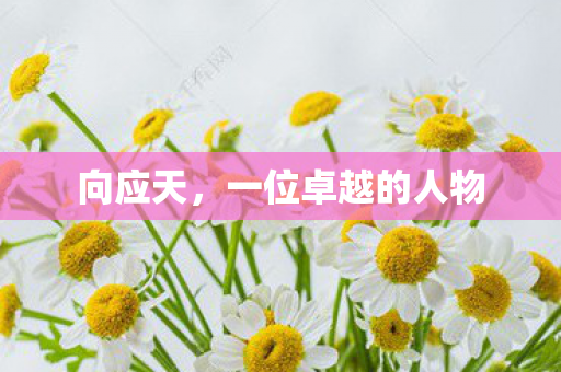 一位卓越的人物图片