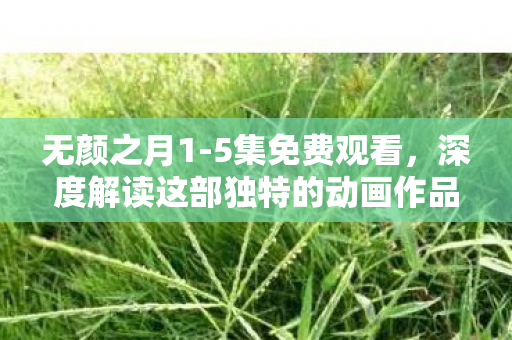 深度解读这部独特的动画作品图片