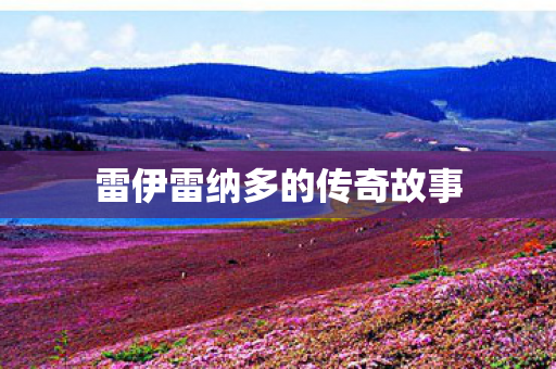 雷伊雷纳多的传奇故事图片