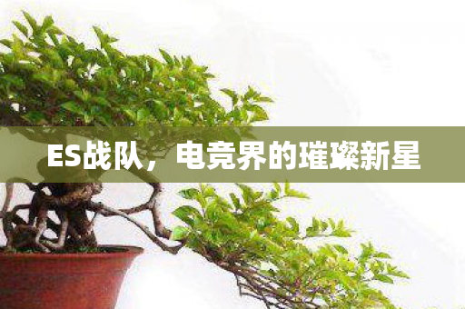 电竞界的璀璨新星图片
