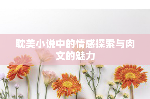 耽美小说中的情感探索与肉文的魅力图片