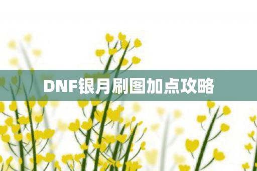 DNF银月刷图加点攻略图片