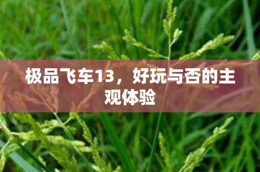 好玩与否的主观体验图片