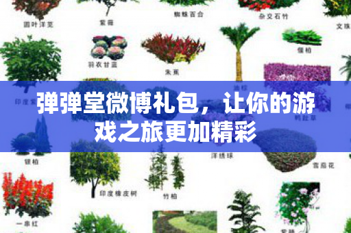让你的游戏之旅更加精彩图片