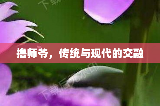 传统与现代的交融图片