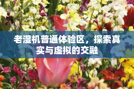 探索真实与虚拟的交融图片