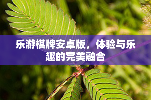 体验与乐趣的完美融合图片