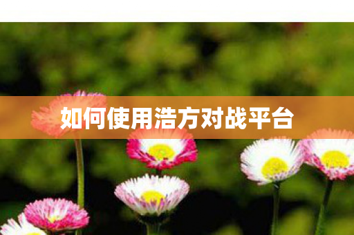 如何使用浩方对战平台图片