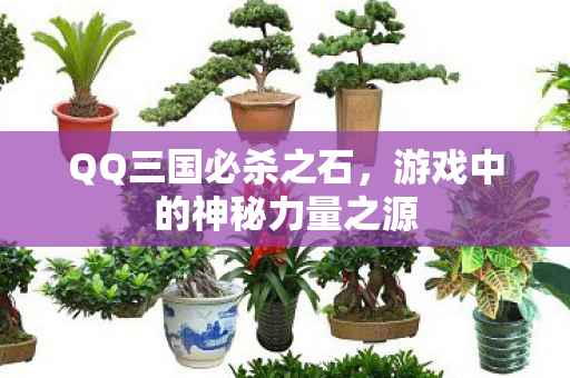 游戏中的神秘力量之源图片