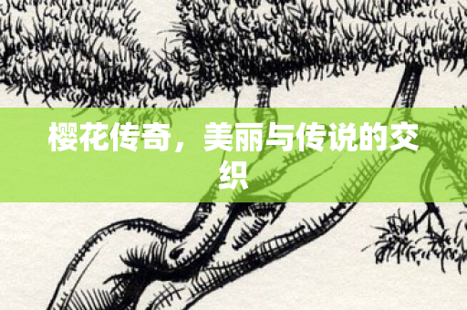 美丽与传说的交织图片