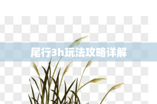 尾行3h玩法攻略详解图片
