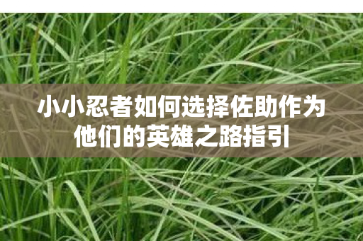 小小忍者如何选择佐助作为他们的英雄之路指引图片