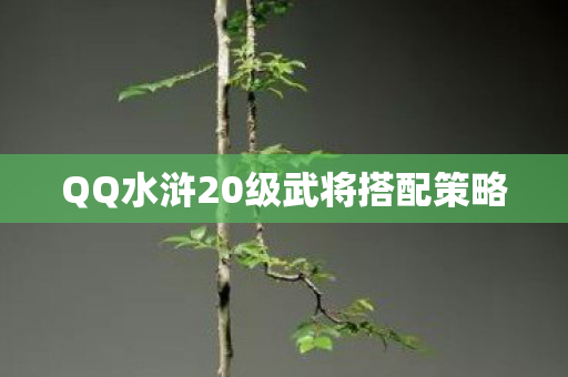 QQ水浒20级武将搭配策略图片