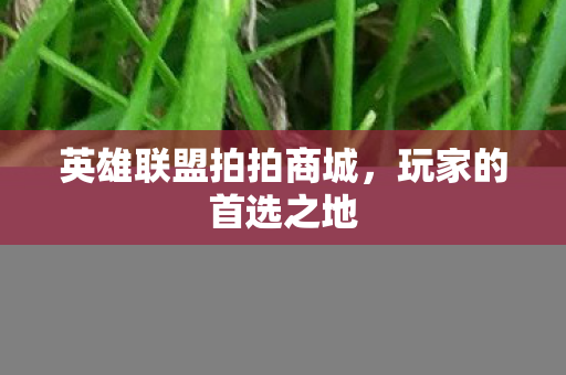 英雄联盟拍拍商城图片
