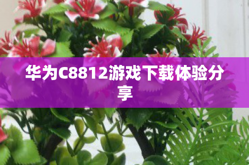 华为C8812游戏下载体验分享图片