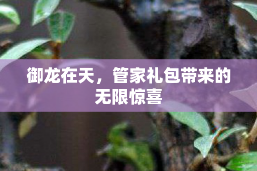 管家礼包带来的无限惊喜图片