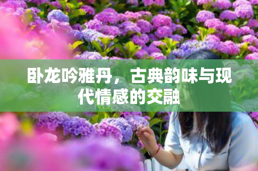 古典韵味与现代情感的交融图片