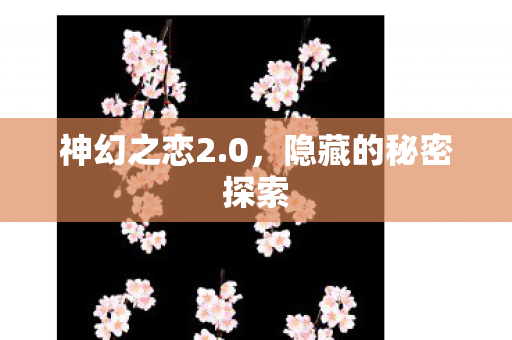 隐藏的秘密探索图片