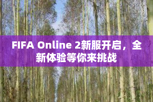 FIFA Online 2新服开启图片