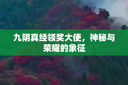 九阴真经领奖大使图片