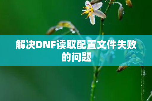 解决DNF读取配置文件失败的问题图片