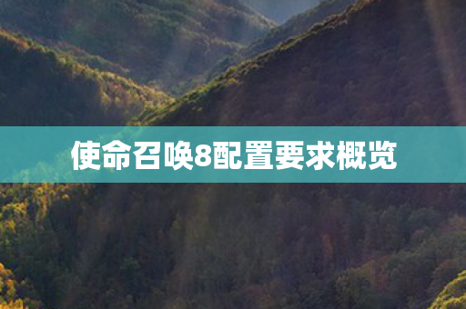 使命召唤8配置要求概览图片