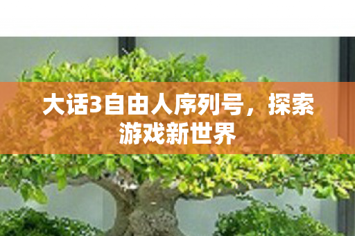 大话3自由人序列号图片