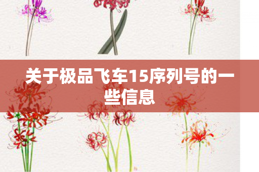 关于极品飞车15序列号的一些信息图片
