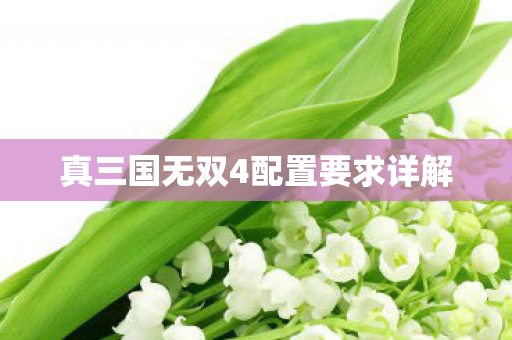 真三国无双4配置要求详解图片