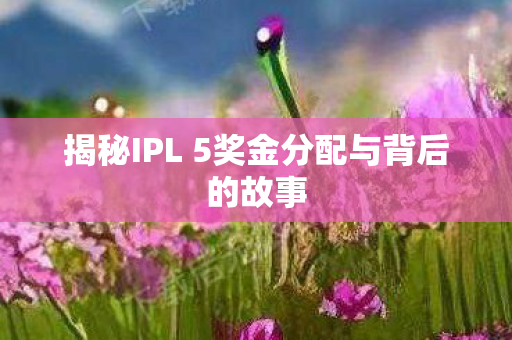 揭秘IPL 5奖金分配与背后的故事图片