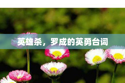 罗成的英勇台词图片