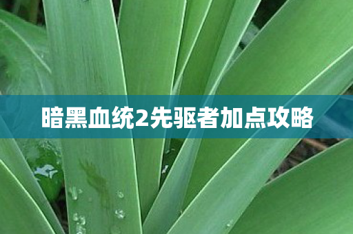 暗黑血统2先驱者加点攻略图片