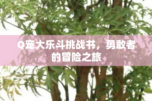 Q宠大乐斗挑战书图片