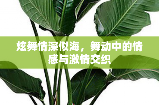 舞动中的情感与激情交织图片