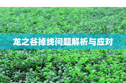 龙之谷掉线问题解析与应对图片