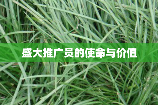 盛大推广员的使命与价值图片