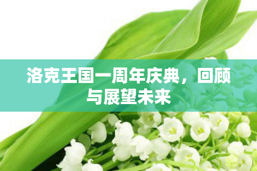 洛克王国一周年庆典图片