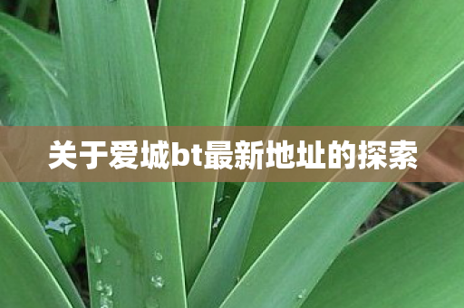 关于爱城bt最新地址的探索图片