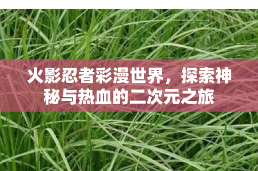 探索神秘与热血的二次元之旅图片