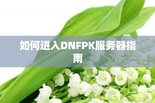 如何进入DNFPK服务器指南图片