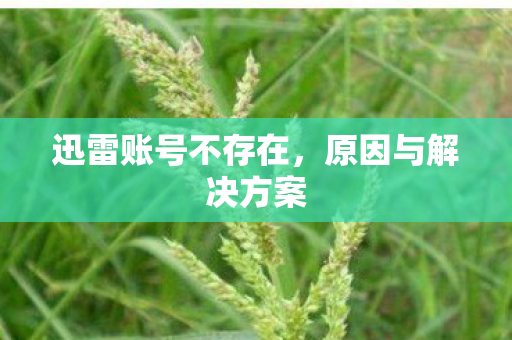 迅雷账号不存在图片