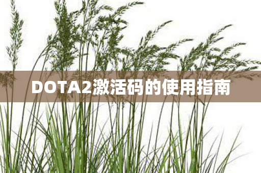 DOTA2激活码的使用指南图片