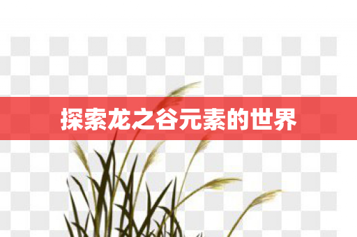 探索龙之谷元素的世界图片