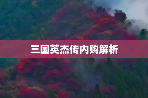 三国英杰传内购解析图片