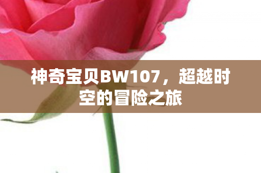 神奇宝贝BW107图片
