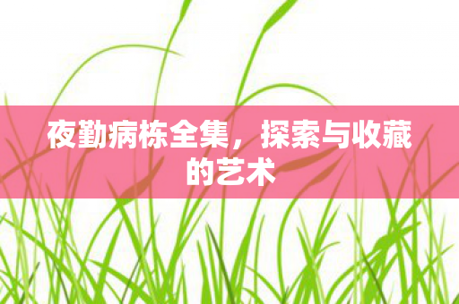 探索与收藏的艺术图片