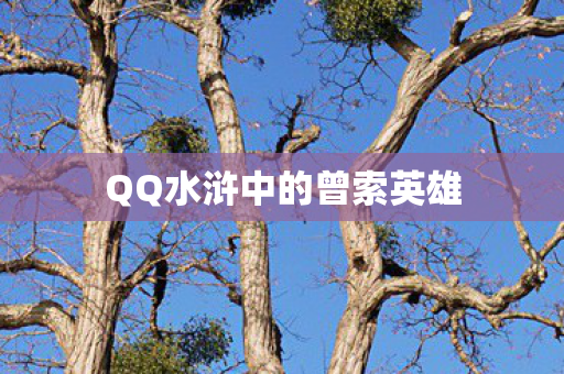QQ水浒中的曾索英雄图片