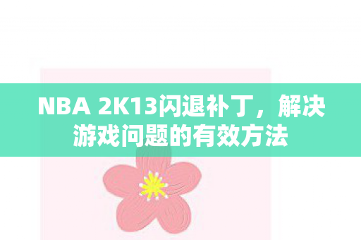 NBA 2K13闪退补丁图片