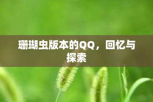 珊瑚虫版本的QQ图片