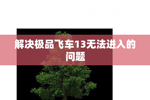 解决极品飞车13无法进入的问题图片